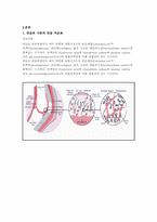 [의료용 신소재] Nano fiber의 기능성화를 통한 인공 연골에로의 적용을 위한 실용화 설계 방안-4