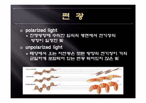 [디스플레이공학] 편광필름-4
