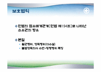 [형법] 횡령죄 레포트-5