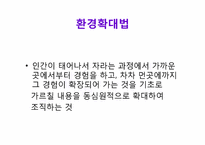 사회과 교육과정-12