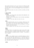 정책집행 유형 레포트-10