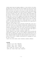 정책집행 유형 레포트-13