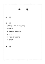 순찰지구대 제도에 대한 정책평가-2