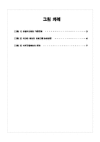 순찰지구대 제도에 대한 정책평가-4