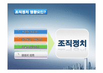 [조직론] 조직정치-4