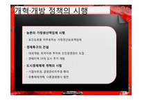 덩샤오핑의 중국특색의 사회주의-9