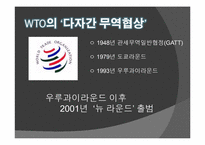 뉴라운드 -도하개발어젠다(Doha Development Agenda)-3