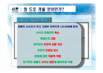 친환경 도로개발 사례-6