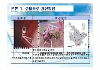 친환경 도로개발 사례-13