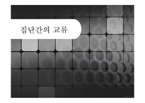 [사회심리학] 집단간의 교류-1