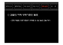 [정책학개론] 성범죄 처벌정책에 관한 논고-14