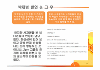 [표현의 자유] 연예인들의 말-18