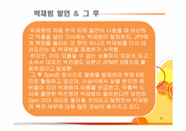 [표현의 자유] 연예인들의 말-20