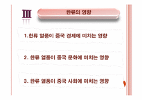 [중국문화] 한류 문제점과 한계-12