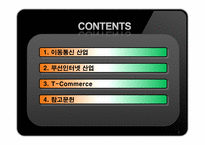 인도 IT산업 연구-2