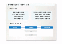세종시 건설 논란-3