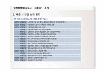 세종시 건설 논란-6