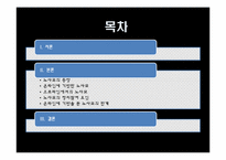 [사이버정치] 인터넷 정치집단 노사모-2