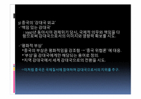 중국의 외교전략과 국제질서-11