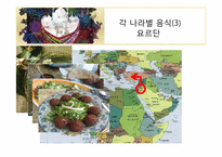 아랍의 음식 레포트-17