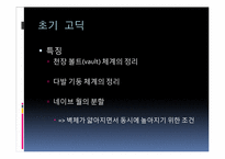 고딕건축 레포트-11