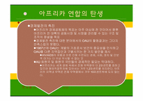 아프리카의 경제발전과 국제협력-4