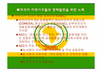 아프리카의 경제발전과 국제협력-8