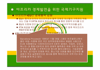 아프리카의 경제발전과 국제협력-12