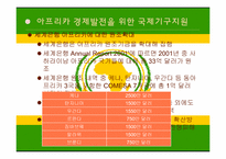 아프리카의 경제발전과 국제협력-13