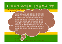 아프리카의 경제발전과 국제협력-15