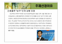 [비교행정론] 신종플루에 관한 정책비교-8