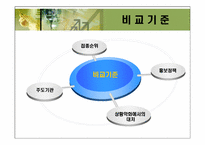 [비교행정론] 신종플루에 관한 정책비교-12