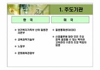 [비교행정론] 신종플루에 관한 정책비교-13
