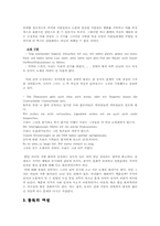 [독일문학] Zonenkinder-7
