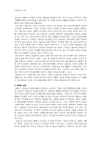샐린저 `바나나피시를 위한 완벽한 날` 작품분석-4