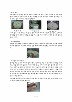 [곡류가공식품] 건포도 식빵(Raisin pan bread)-4