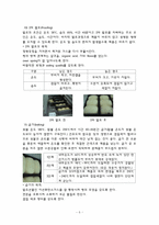 [곡류가공식품] 건포도 식빵(Raisin pan bread)-6