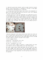 [곡류가공식품] 건포도 식빵(Raisin pan bread)-9
