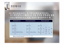 [식품] 건강 기능성 Lecithin 레시틴의 활용-5