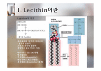[식품] 건강 기능성 Lecithin 레시틴의 활용-6