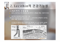 [식품] 건강 기능성 Lecithin 레시틴의 활용-11