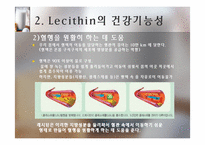 [식품] 건강 기능성 Lecithin 레시틴의 활용-12