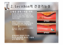 [식품] 건강 기능성 Lecithin 레시틴의 활용-13