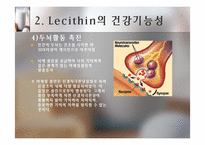 [식품] 건강 기능성 Lecithin 레시틴의 활용-14