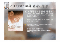 [식품] 건강 기능성 Lecithin 레시틴의 활용-15