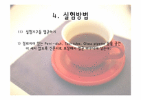 [위생실험] 자판기 커피의 총 균수, 대장균군수 검사-11