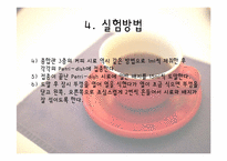 [위생실험] 자판기 커피의 총 균수, 대장균군수 검사-16