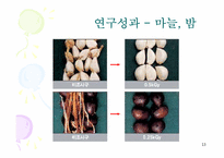 방사선 조사 식품-13