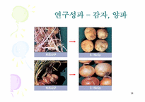 방사선 조사 식품-14