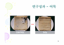 방사선 조사 식품-16